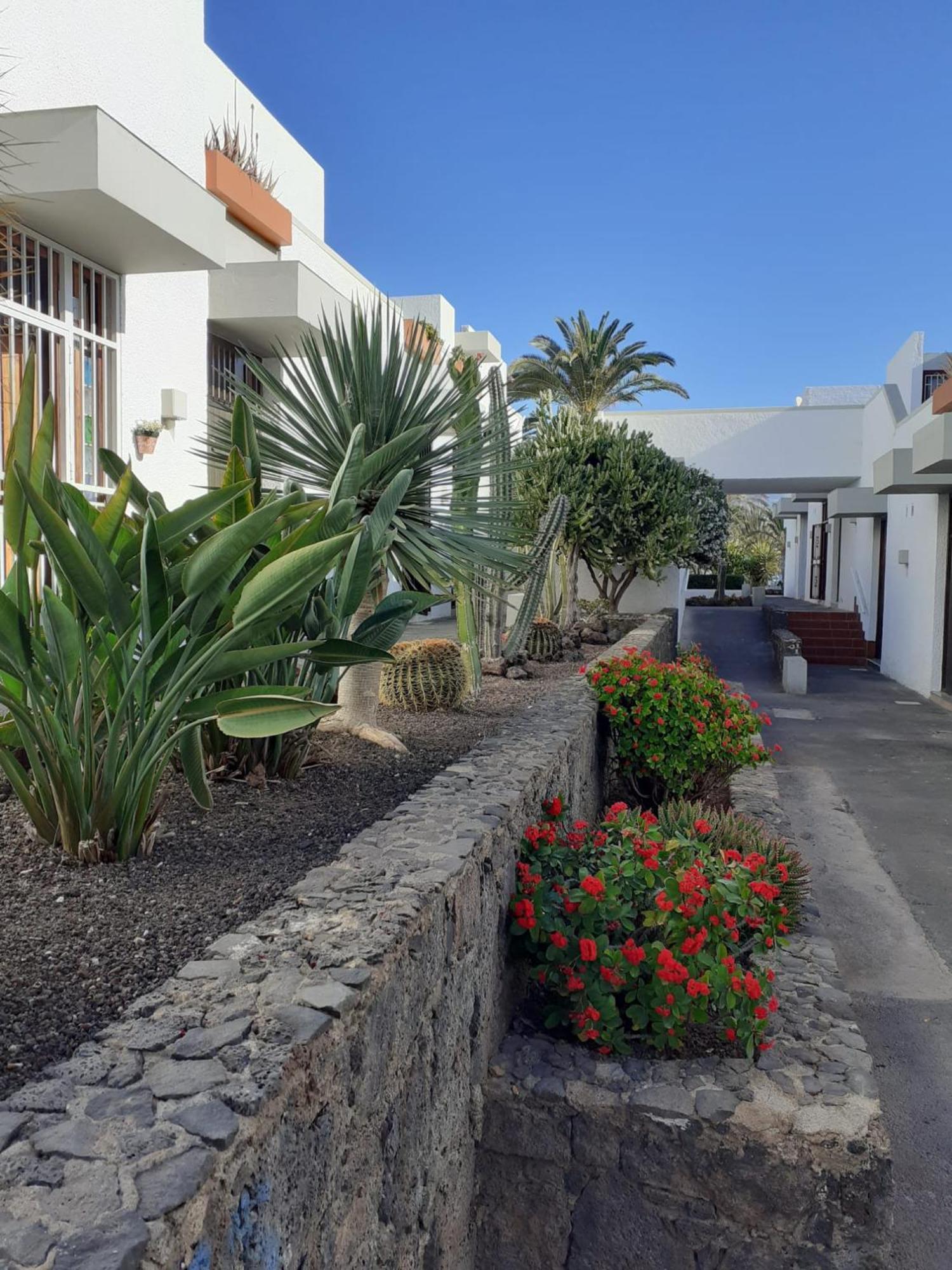 Precioso apartamento  Costa del Silencio Exterior foto